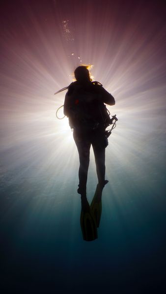 BlueWater Divers-galleryimage-4