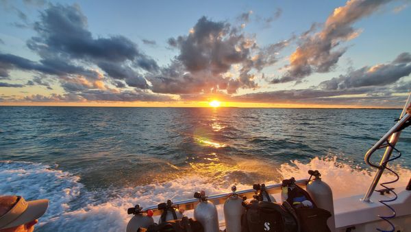 BlueWater Divers-galleryimage-2