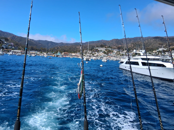 California coastal boat charters that put you on productive fishing grounds quickly.