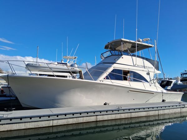 A big catch comes aboard during California deep sea fishing