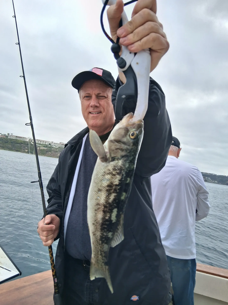 From kelp beds to open water, California coastal boat charters built for consistent fishing.