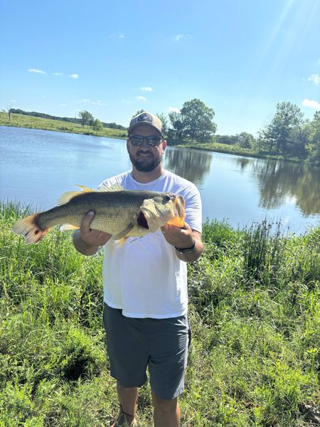 Nice bass from the waters of Wylie TX!