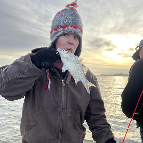 Nice white bass from Lake Lavon!