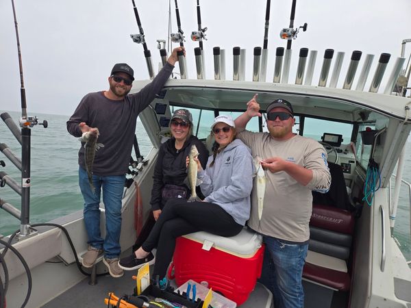 Great walleye action on Lake Erie near Lorain!