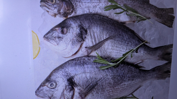 Fresh California catch ready for the perfect meal prep!