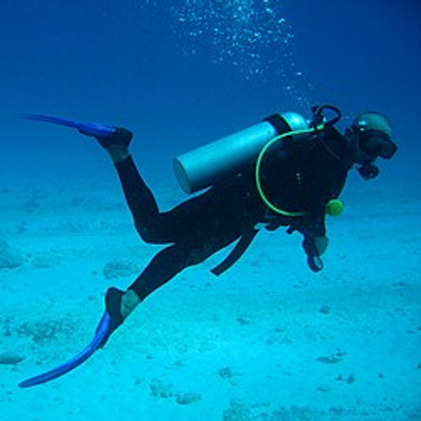 Exploring the depths of California's blue ocean waters.