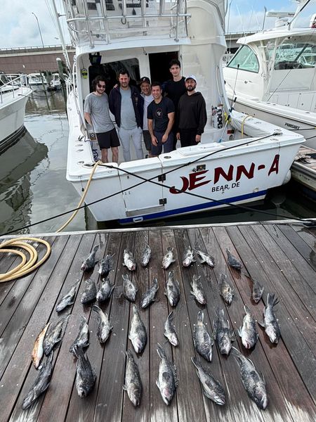 Day on the water in Point Pleasant, NJ brought solid catches.