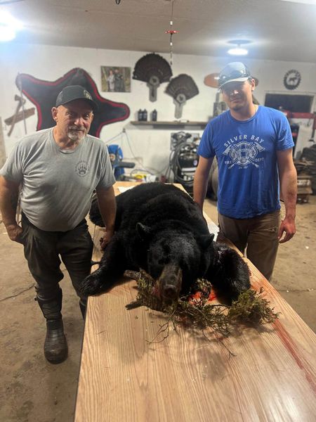 Successful black bear hunt results in Finland MN!