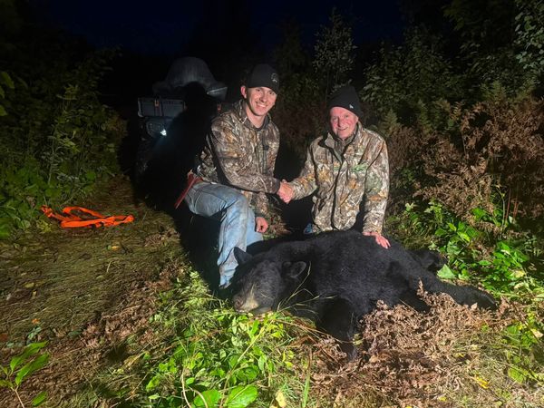 Black bear success in Finland Minnesota!