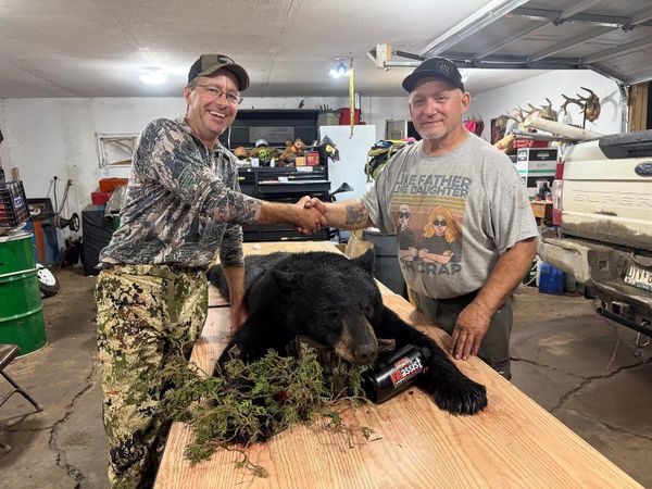 Solid black bear harvest—successful bear hunt and great teamwork