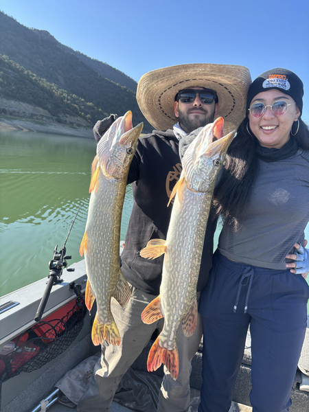Nice pair of Northern Pike from the lake today! Deep sea jigging and trolling with both heavy and light tackle.