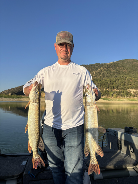 Nice pair of Northern Pike using deep sea jigging and trolling techniques in clear conditions!