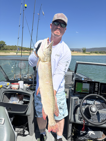 Great catch using deep sea jigging and trolling techniques on a perfect clear day!