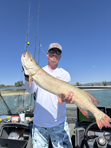 Nice Northern Pike using deep sea jigging techniques in clear conditions!