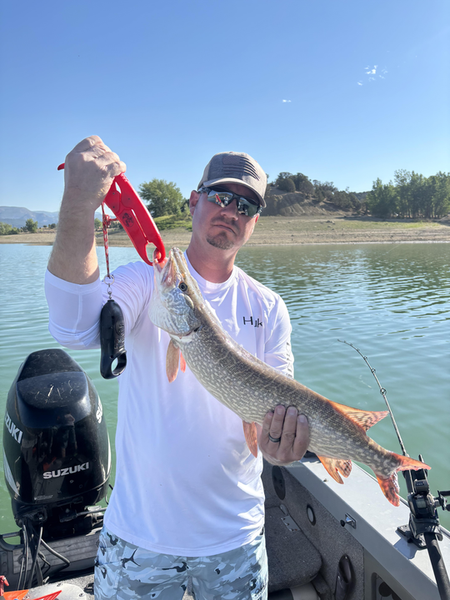 Nice Northern Pike caught using deep sea jigging in partly cloudy conditions!