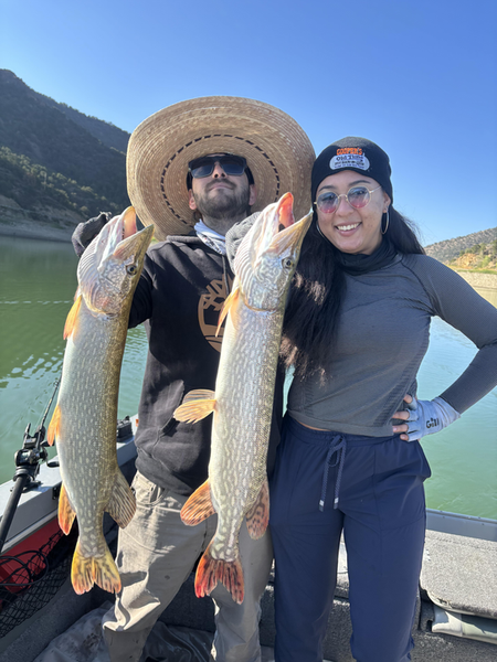 Nice pair of Northern Pike using deep sea jigging and trolling techniques in Silt, CO!