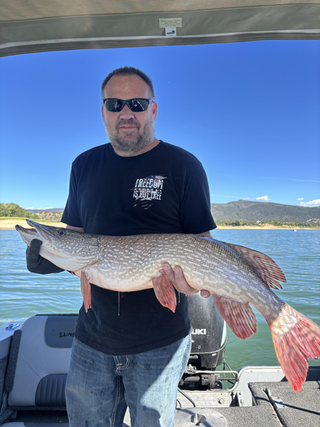 Nice Northern Pike using deep sea jigging technique in partly cloudy conditions.