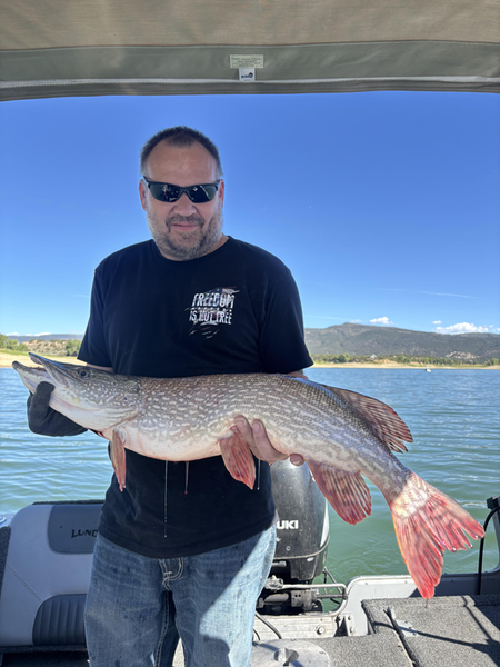 Nice Northern Pike using deep sea jigging techniques in partly cloudy conditions.