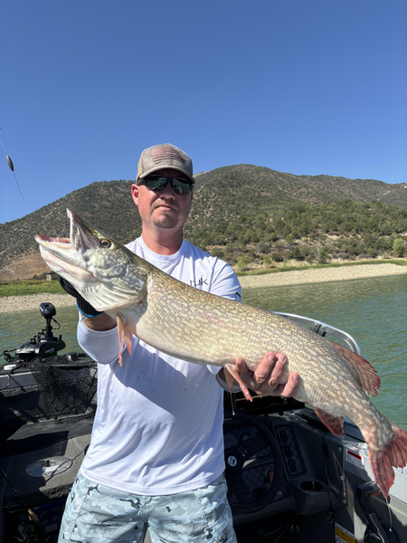 Nice Northern Pike from Harvey Gap! Clear skies made for perfect fishing conditions.