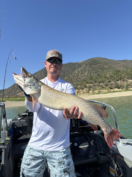 Nice Northern Pike using deep sea jigging in clear conditions!