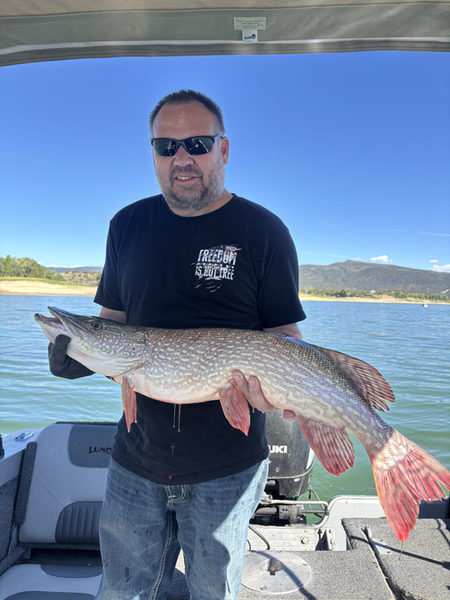 Nice Northern Pike using deep sea jigging and trolling techniques in partly cloudy conditions.