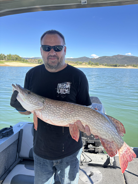 Nice Northern Pike using deep sea jigging technique!