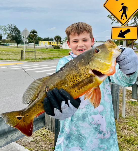 Big bites in Bonita Springs, FL