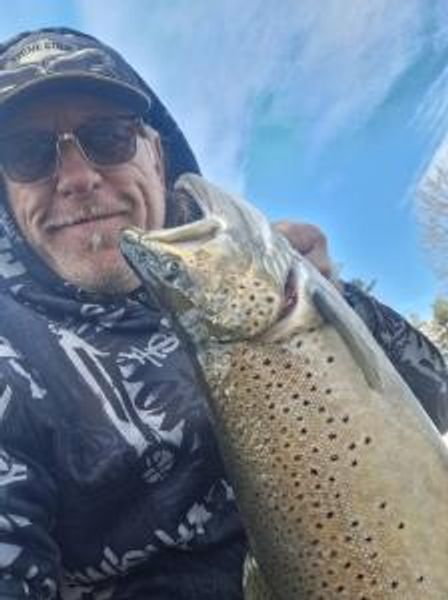 Book Your next Brown Trout fishing trip in OSWEGO NEW YORK 