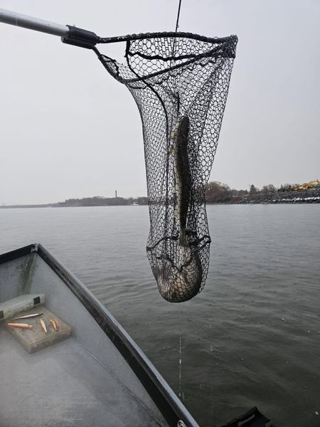 Storm Fishing Oswego 
