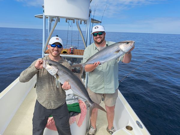 Amberjack fishing is the best in Panama City Beach