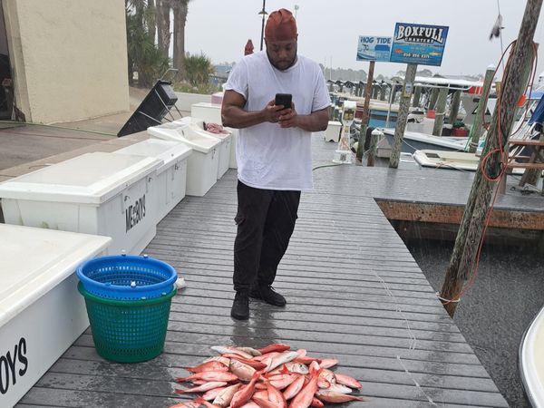 Keep those Red Snappers coming!!
