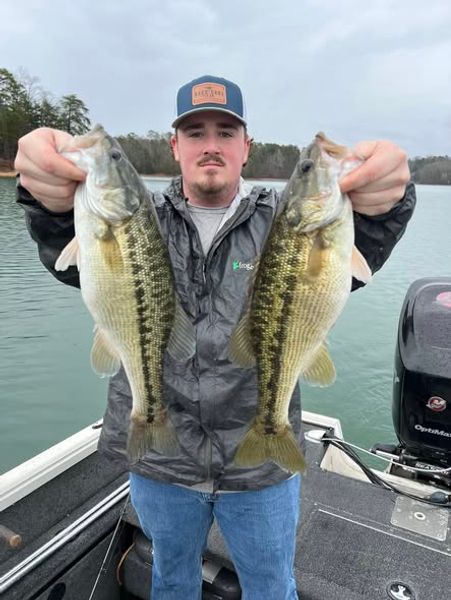 Another great day bass fishing on Lake Allatoona with strong striped bass and aggressive largemouth bass.