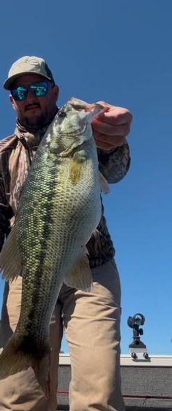 A successful fishing trip on Lake Allatoona with largemouth bass hitting today.
