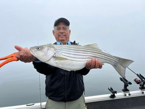 Chasing striped bass and largemouth bass on Lake Allatoona in North Georgia with steady action and great water conditions.