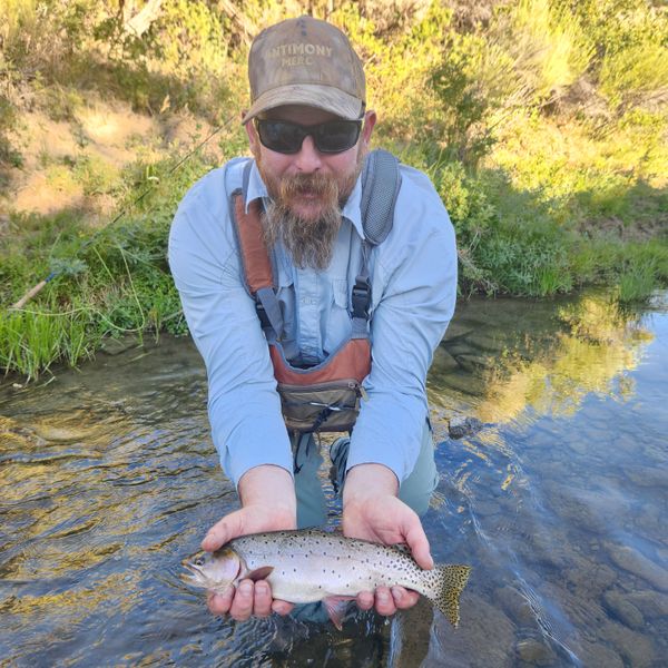Beautiful Panguitch cutthroat trout caught on guided tour!