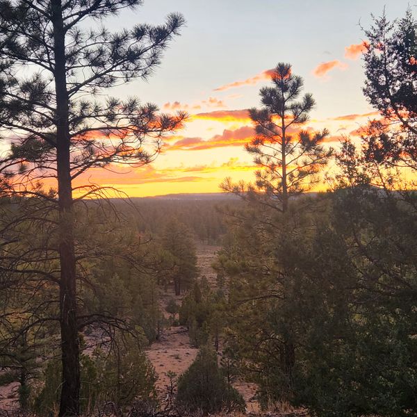 Golden hour magic over Panguitch's rugged terrain.