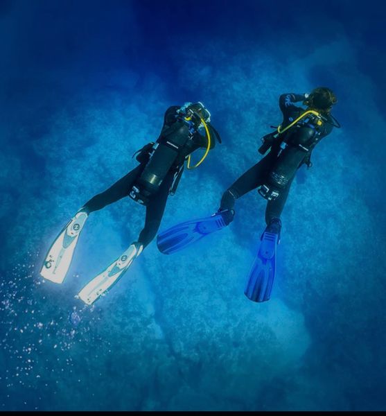 Explore beneath the surface with confidence.