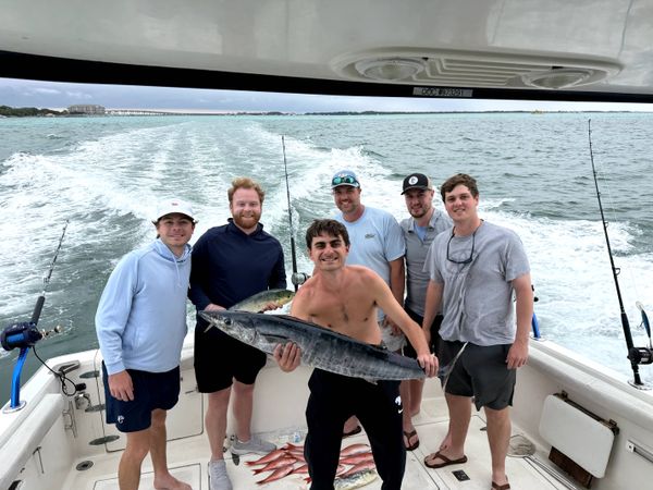 Great spring troll bite today out of Destin Pass.