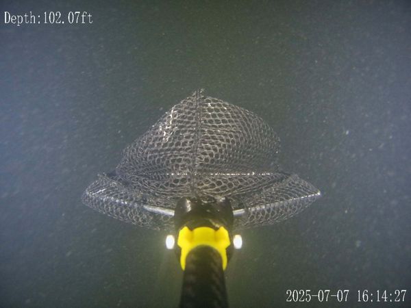 Net trap positioned perfectly at over 100 feet deep!