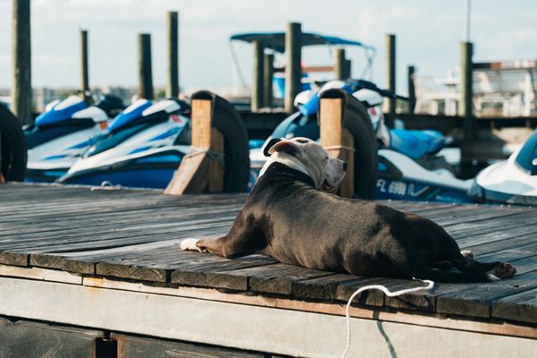 Rent Pontoons and Jet Ski's in Fort Walton Beach with Pelican Pontoon 