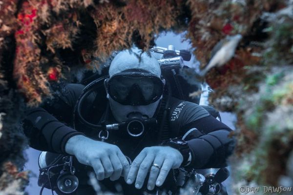 Discovering vibrant underwater worlds through scuba diving exploration.