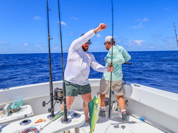 Mahi Mahi Fishing In Florida