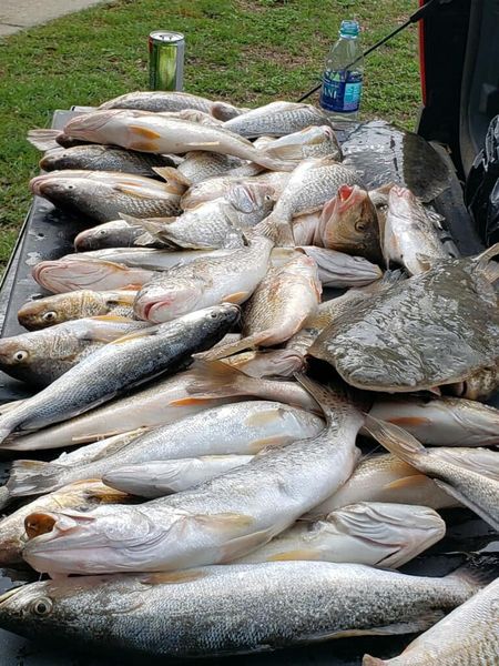 Hooked on Fort Morgan, Redfish, Flounder and more!