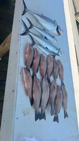 Impressive Spanish mackerel and snapper haul.