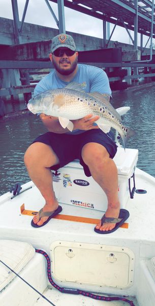 Fort Morgan Inshore Fishing for Everyone! Redfish!