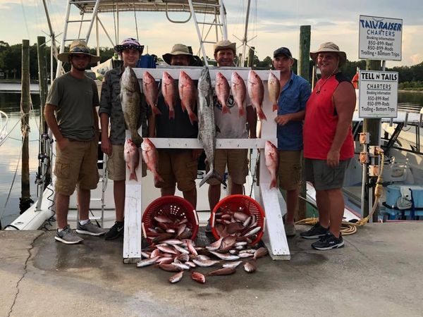 Snapper, Kingfish and Grouper Catches!