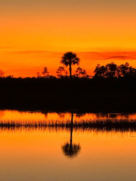 Perfect evening light creates magical fishing moments.