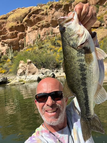Saguaro Lake
