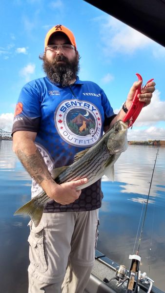 Hooked on the fight of a Striped Bass! 