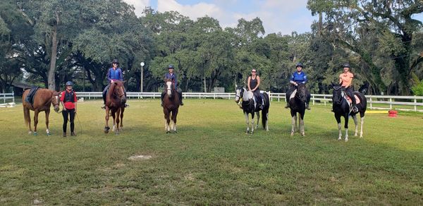 Perfect riding day at Spring Hill FL equestrian center!